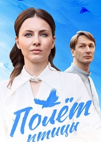 Полёт птицы
