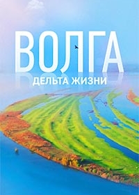 Волга: дельта жизни