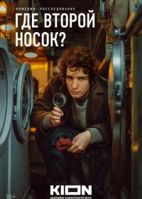 Где второй носок?