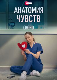 Анатомия чувств